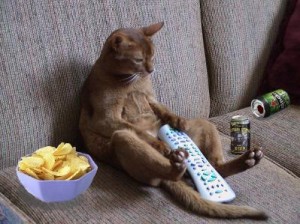 couch_potato1