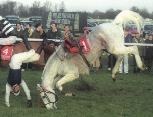 Horsey Get back on the horse SON!