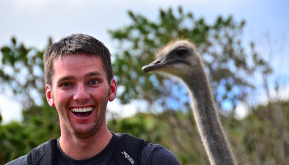 Steve Ostrich