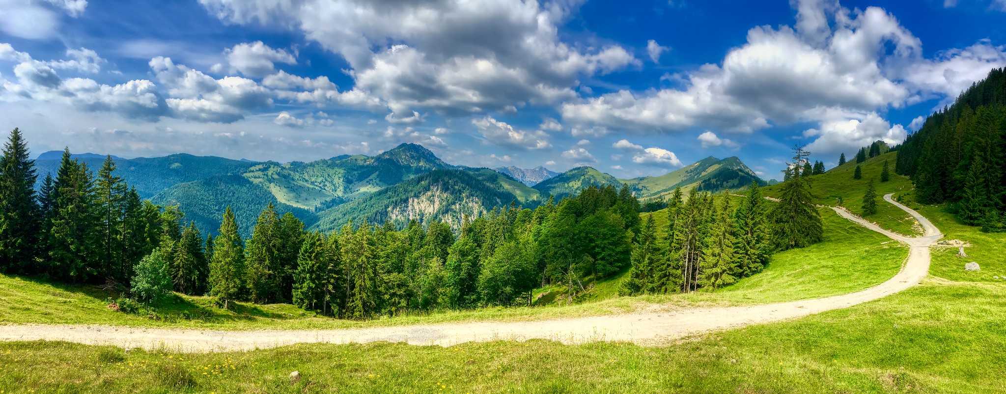 It's important to know exactly how you'll get to 50!