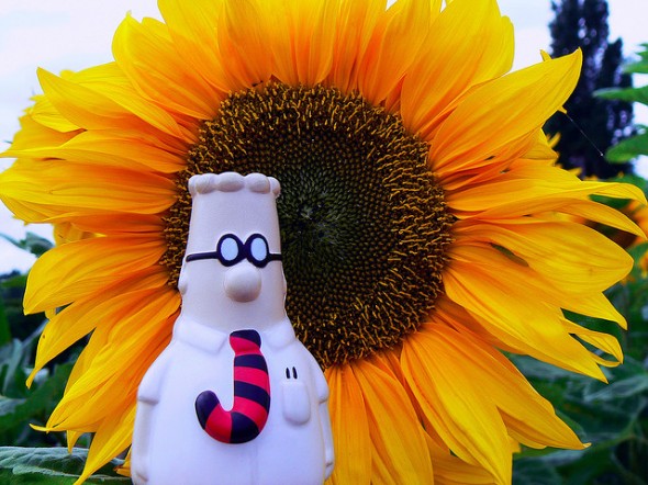 dilbert doll