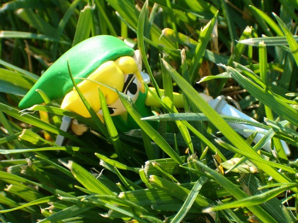 Zelda: Link lost in grass