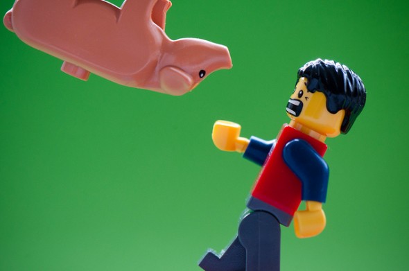 Beware of Spider Pig