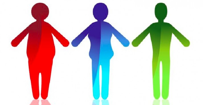 body shapes - endomorph ectomorph mesomorph