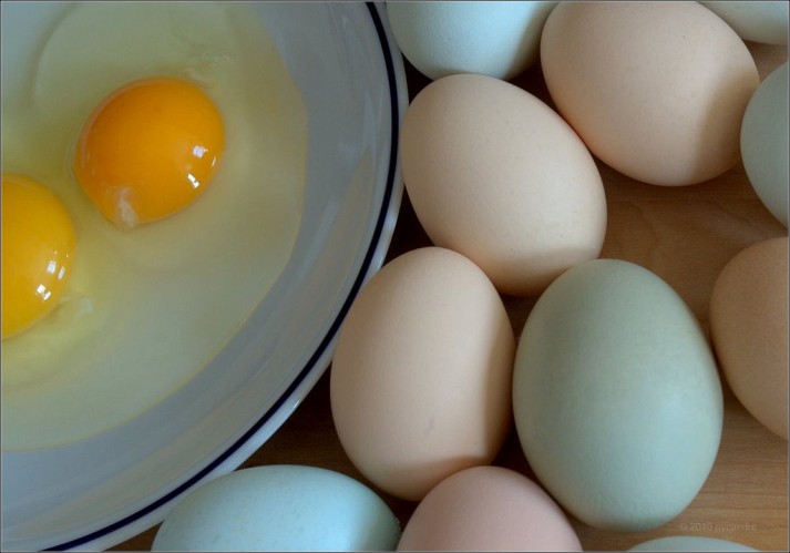 eggs
