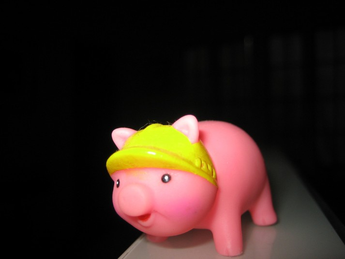 pig hard hat
