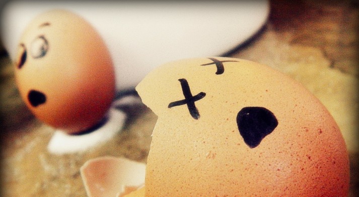 Egg Shell