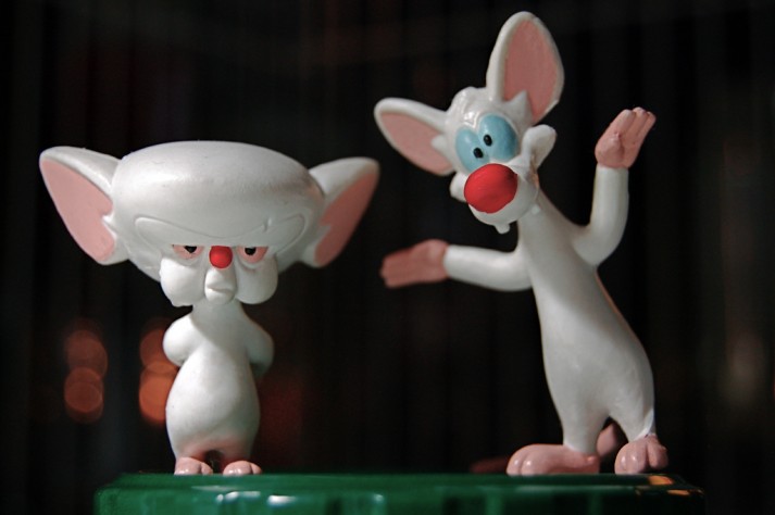 pinky and the brain