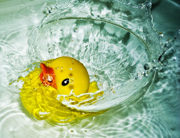 rubber duck