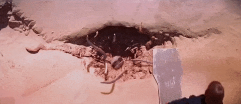 A classic scene from Return of the Jedi