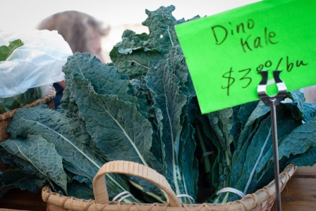 dino kale
