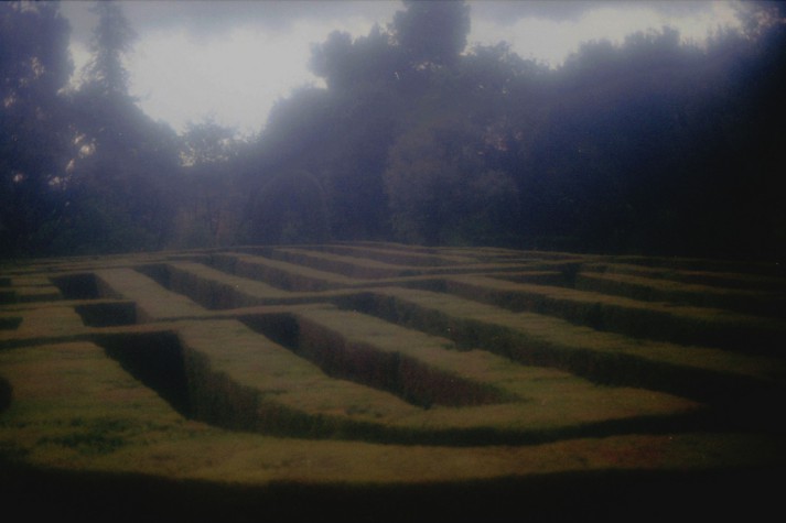 green hedge maze