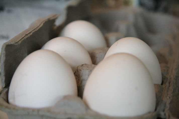 eggs