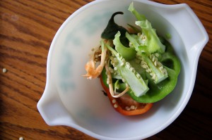 Pulled_Pork_036_Noel