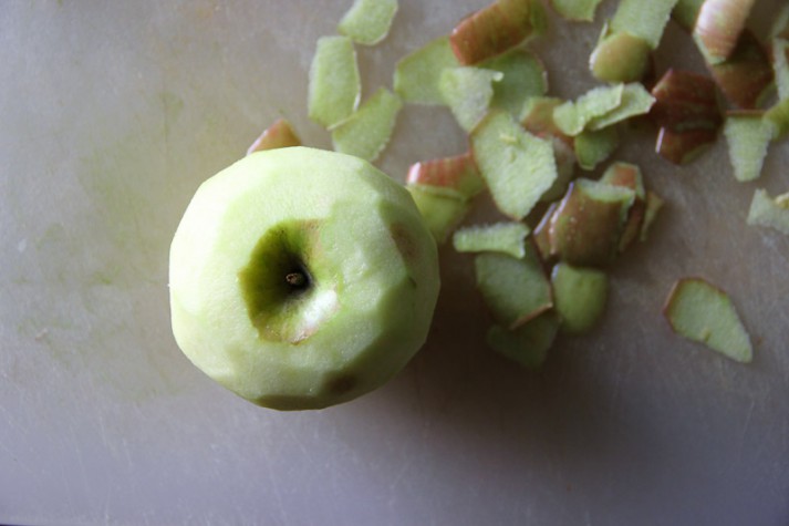 Pulled_Pork_053_Noel