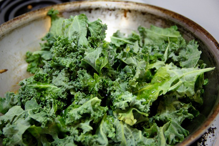 Pulled_Pork_059_Noel