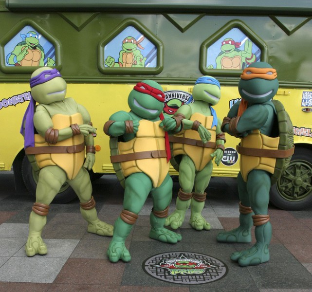 turtle bus