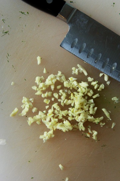 Noel_Chicken_Kabob_Recipe-21