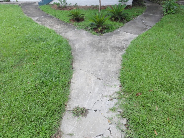 Garden of Forking Paths