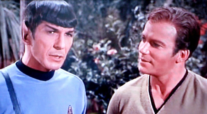 spock kirk