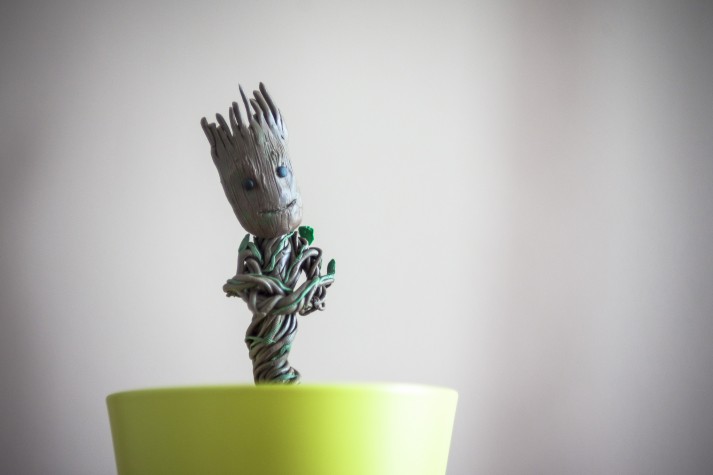 Groot Grow