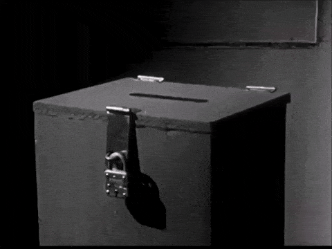 Who will win in the white vs brown rice race?