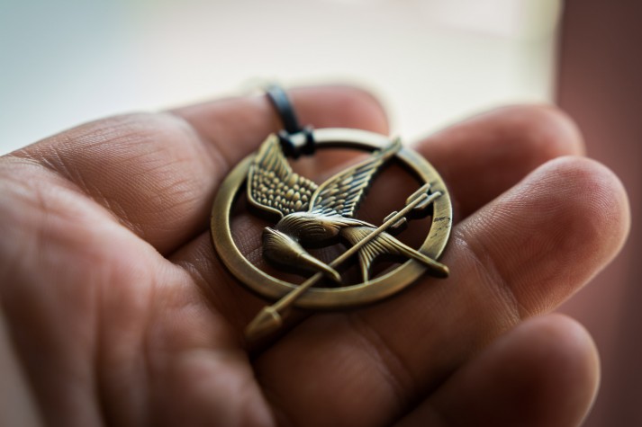mockingjay