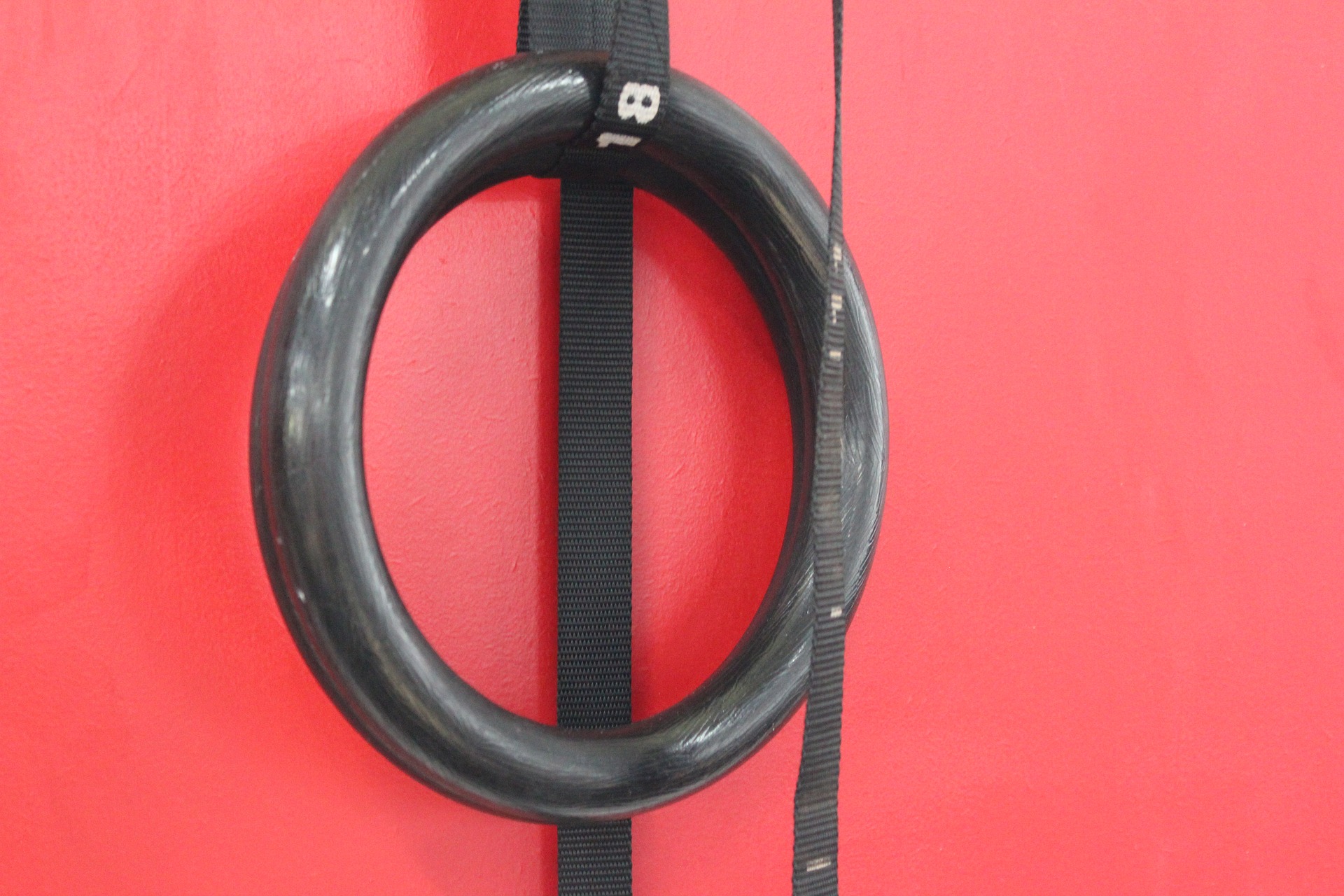 Gymnastic rings come in all shapes and sizes, but let's point you in the right direction on what to buy.