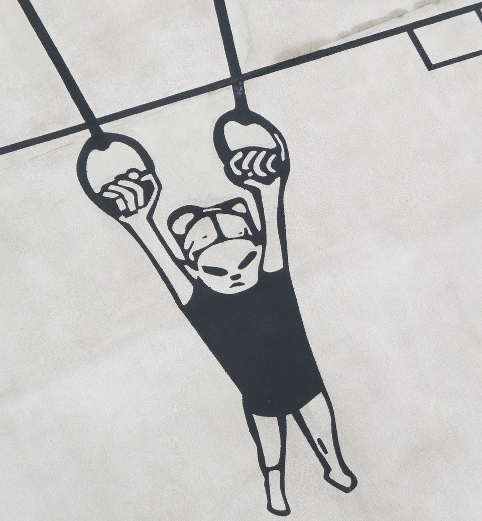 See! Even cartoons can use gymnastic rings!