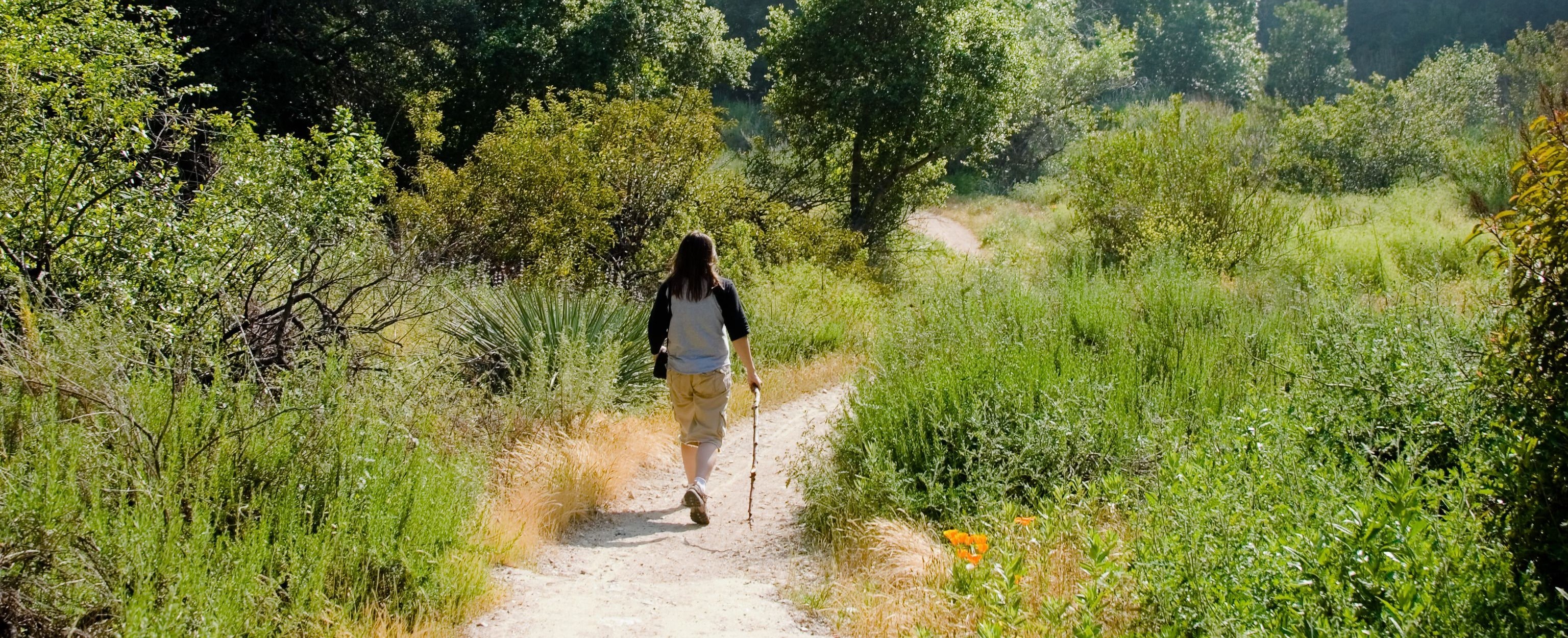 Walking along roads or hiking can burn a lot of calories