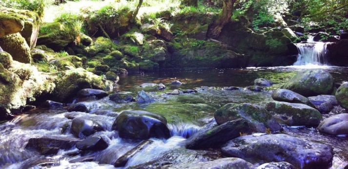 Killarney was a great place to hike.