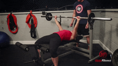 One of the staple exercises to develop a chest area.