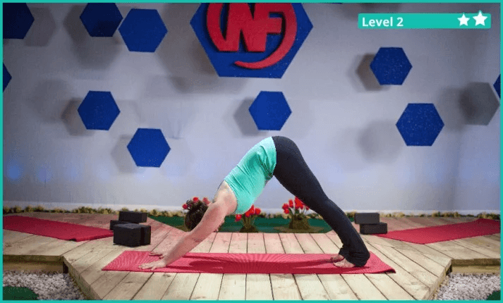 A yoga downward dog pose