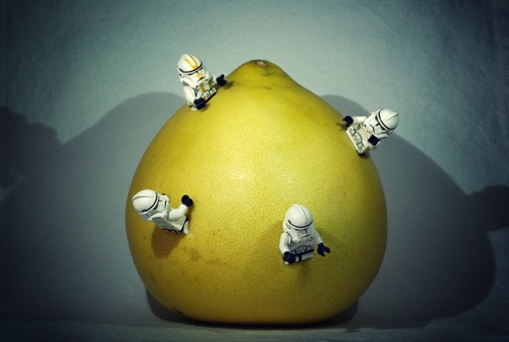 These LEGOs are searching for the perfect diet in this piece of fruit. I think they're doing it wrong.