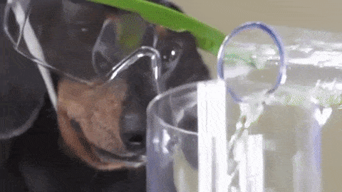 Experiment with different kinds of diet until you find one that works for you!