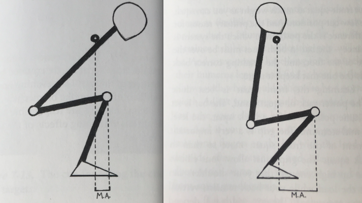Your knee position and ankles are very different with a front squat compared to a back squat