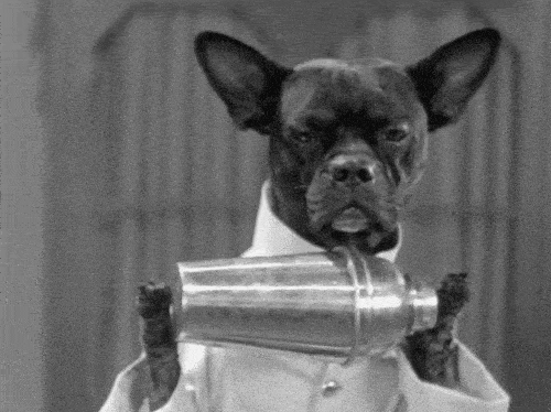 This dog uses plain soda water as his mixer for weight loss.