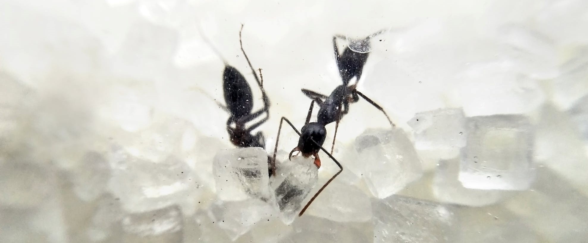 to be fair, it's going to share