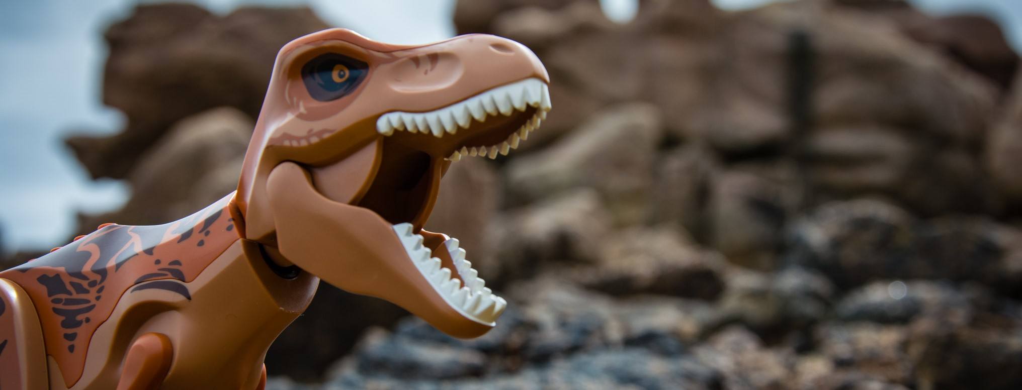 A photo of a toy dino, who I'm sure doesn't bother with a protein calculator.