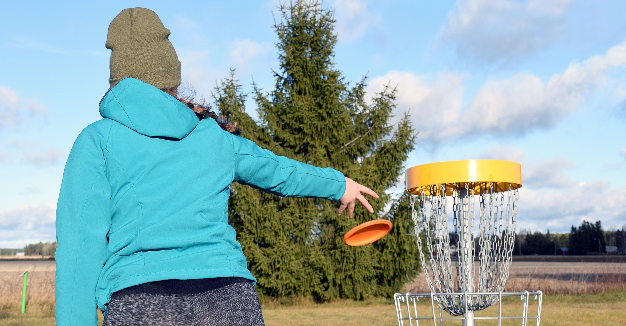 A disc golf course