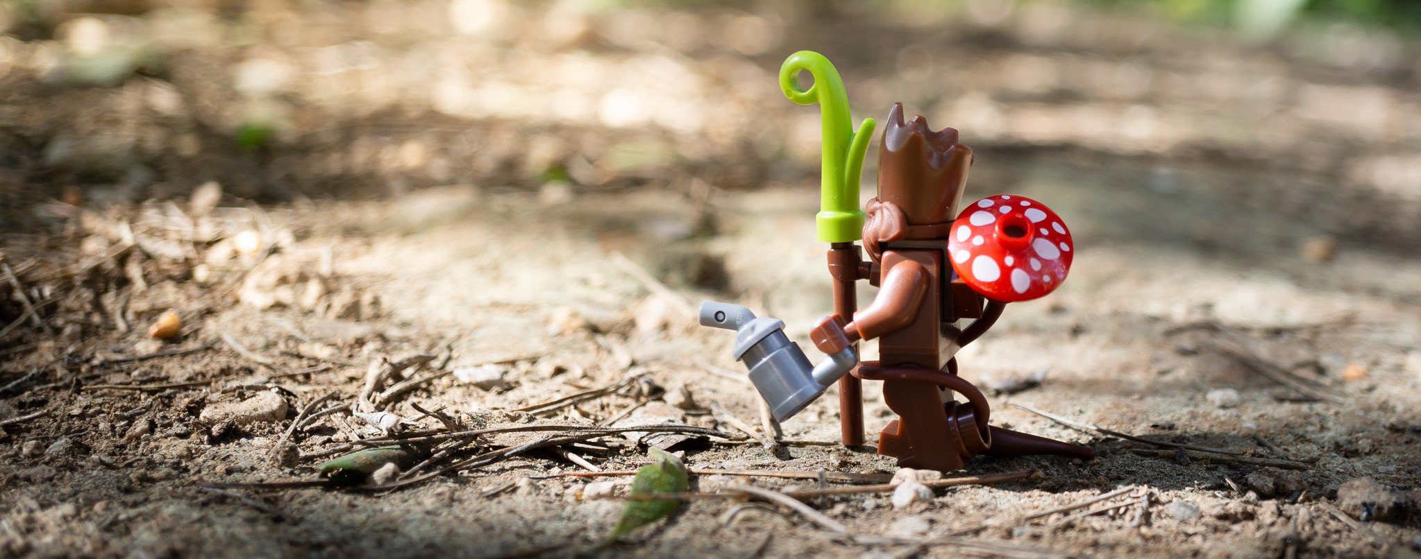 This photo shows a LEGO going on a walk