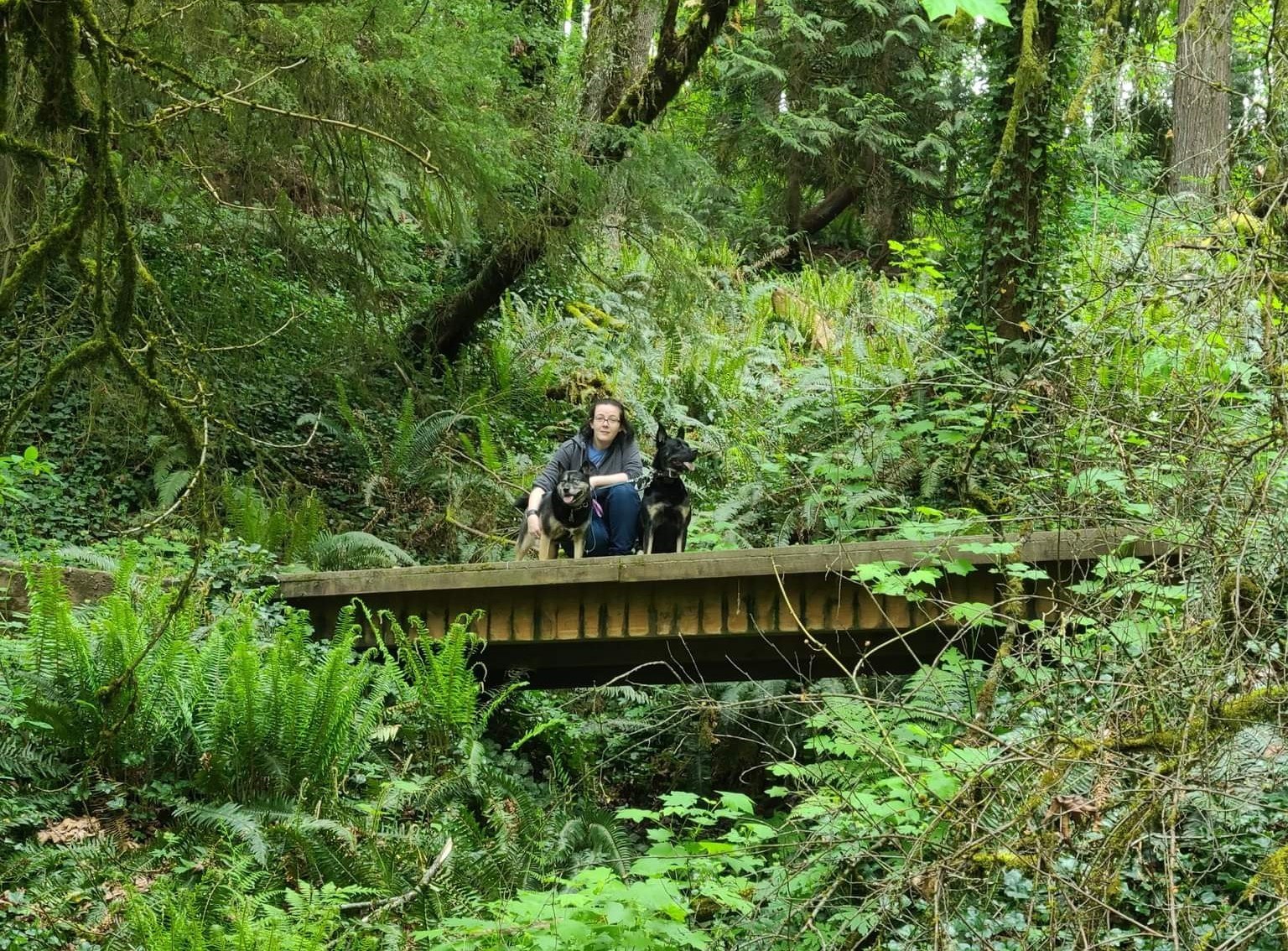 Ranada standing on a wood bridge in the woods with her two dogs