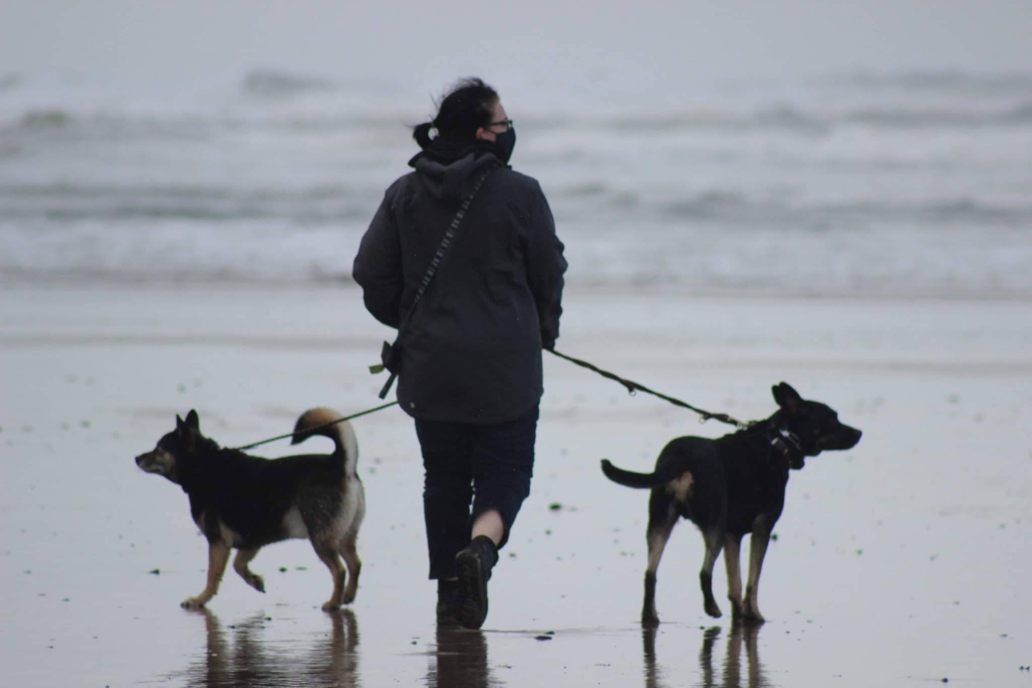 Ranada walking on the beach with her two dogs