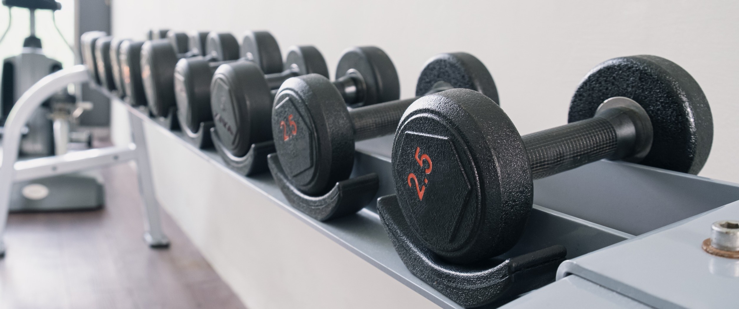 A row of dumbbells on a rack